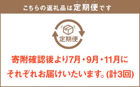 【3回定期便】岡山県産 フルーツ定期便コース （白桃・ 晴王・あたご梨） 計約6.9kg  【2026年7月上旬発送開始】 白桃 桃 もも シャインマスカット 晴王 ぶどう 葡萄 マスカット あたご 梨 なし フルーツ 果物 くだもの 岡山