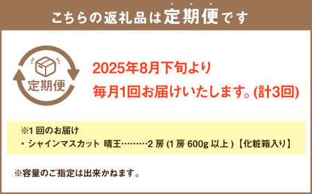 【3回定期便】岡山県産 シャインマスカット 晴王 計約3.6kg 2房（1房600g以上）×3回 【2026年8月下旬発送開始】 フルーツ 果物 くだもの 定期便 3回 ぶどう 葡萄 マスカット 岡山
