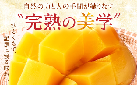 マンゴー 完熟 マンゴー[宮崎 3L 2玉 La Brilliant Mango 贈答用]