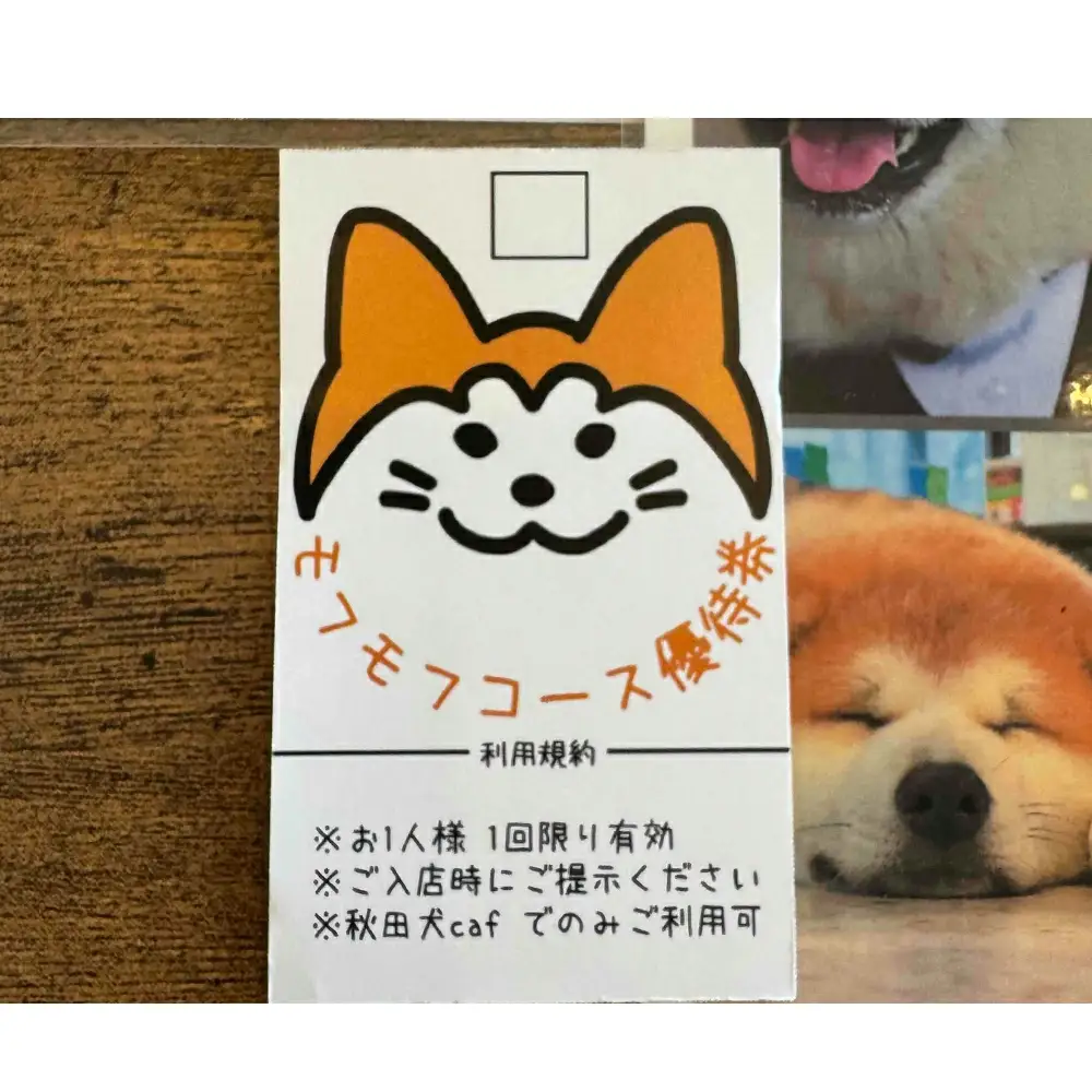 もふもふ秋田犬ふれあい体験30分 大人（中学生以上）　1名様（ふれあい10分・1ドリンク付）　【35P8401】