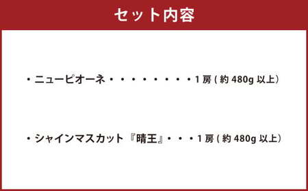 岡山県産 ぶどう詰合 ニューピオーネ 1房・シャインマスカット 晴王 1房 （各480g以上） 化粧箱入り 【2026年8月下旬～10月上旬迄発送予定】 果物 くだもの フルーツ ぶどう ブドウ 葡萄 マスカット 詰め合わせ 詰合せ 岡山 おかやま 国産 冷蔵