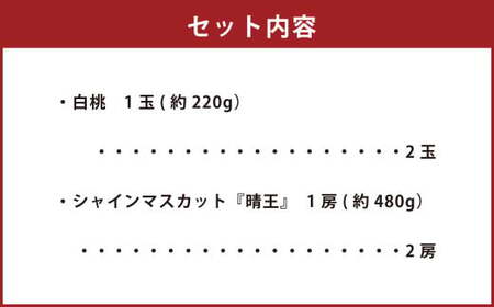 詰合 白桃 2玉 （1玉220g以上） シャインマスカット晴王 2房 （1房480g以上） 化粧箱入り 【2026年7月下旬～8月上旬迄発送予定】 果物 くだもの フルーツ 桃 もも モモ ぶどう ブドウ 葡萄 マスカット 詰合せ 詰め合わせ 岡山 おかやま 国産 冷蔵