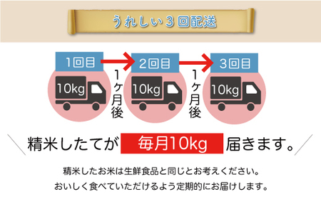 ＜数量限定＞ 令和7年産 雪若丸【白米】30kg定期便 (10kg×3回) 山形県真室川町　◆NR7Y3010M-H9999