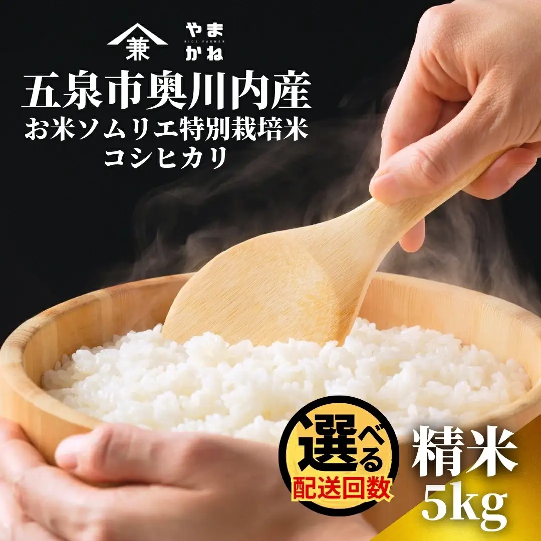 【先行予約】令和8年産 五泉市産 特別栽培米 コシヒカリ 5kg(5kg×1袋)