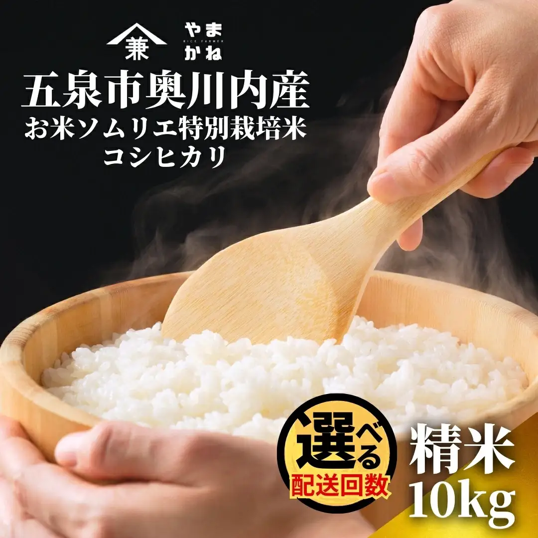 【先行予約】令和8年産 12ヶ月定期便 五泉市産 特別栽培米 コシヒカリ 10kg(5kg×2袋)