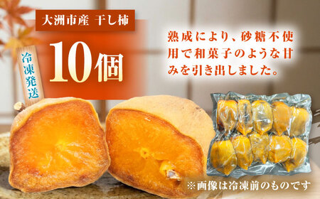 【冷凍】 干し柿 10個入り 愛媛県大洲市/沢井青果有限会社　[AGBN055]
