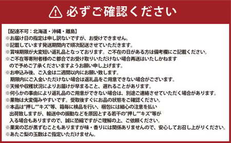岡山県産 あたご梨 3-6玉 （約4kg） 化粧箱入り 【2026年11月下旬～12月下旬発送予定】 果物 くだもの フルーツ 梨 なし 贈答 ギフト 岡山 大玉