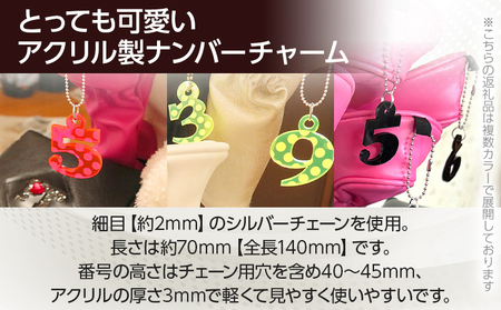アクリルナンバーチャーム 蛍光 グリーン 0 1 2 3 4 5 6 7 8 9 X 番号 大きい キーホルダー アクセサリー プレゼント ギフト 贈り物 福岡 九州 福岡県 メール便（ポスト投函）