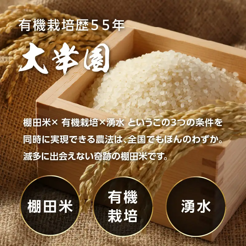 大幸園の白米 3回定期便 有機JAS 認証 有機米 棚田米 5kg 米 国産 白米 美味しい お米 九州産 有機栽培 福岡県 八女市 184-T001