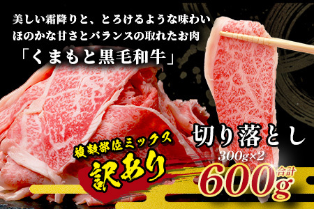 【訳あり】くまもと黒毛和牛 切り落とし 600g  113-0552