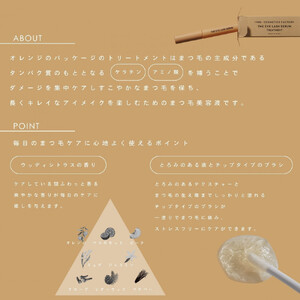ザアイラッシュセラム トリートメント＋キープ2本セット