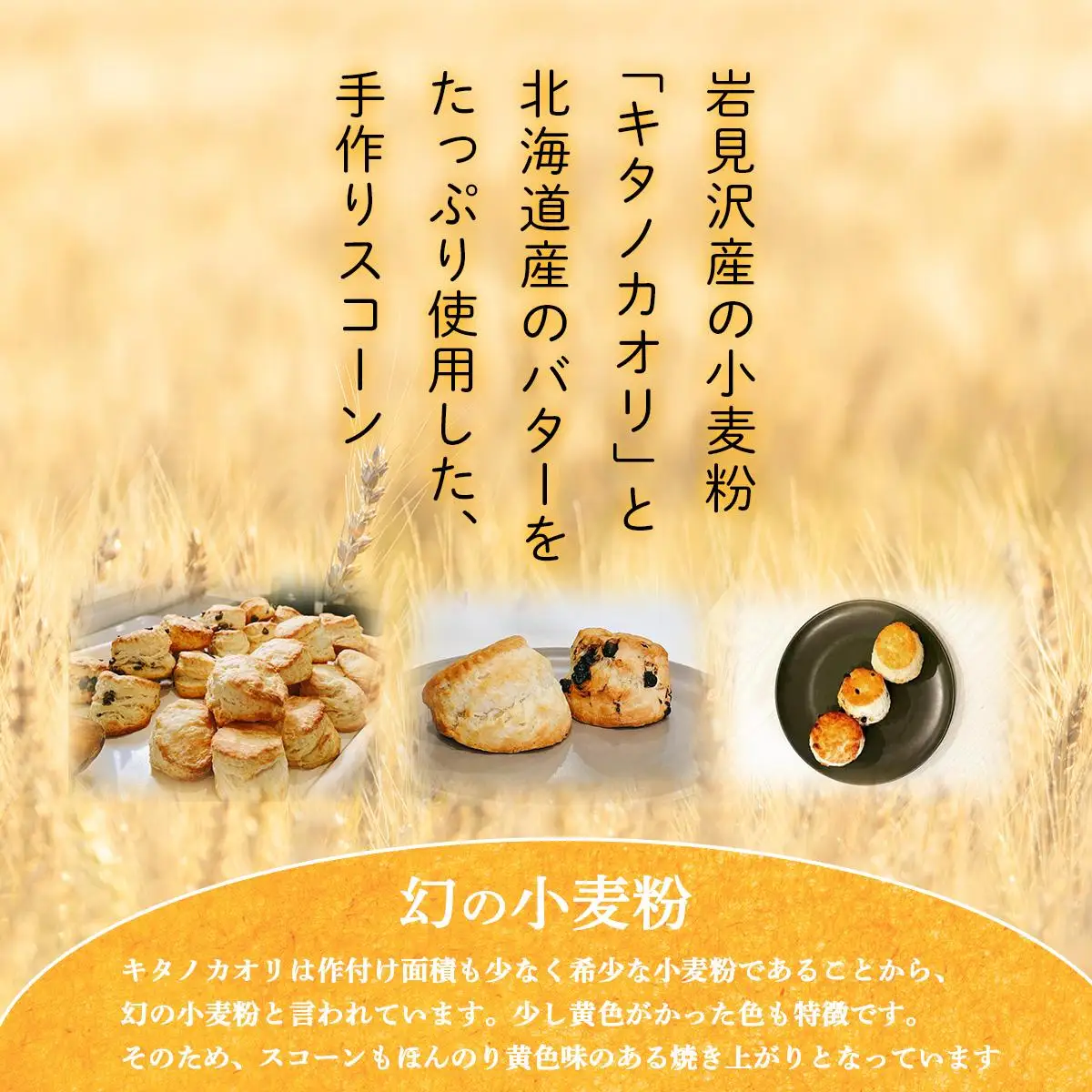 幻の小麦粉キタノカオリ（岩見沢産）を使用したスコーン(5種×各3個入り) a131-010