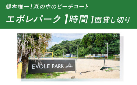 エボレパーク 1面1時間利用 利用券 ビーチスポーツ ビーチバレー ビーチサッカー スクール ダイエット 運動 レクリエーション イベント フェス 菊陽町 熊本【エボレジャパン株式会社】[BHBC011]