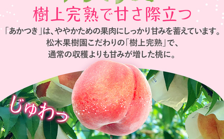 先行予約 期間限定 桃 あかつき 約2kg（7～8玉） 農家直送 樹上完熟 完熟 果汁 もも モモ 果物 フルーツ 甘い ジューシー 福岡県 福岡 九州 グルメ お取り寄せ 【7月上旬頃より順次出荷予定】