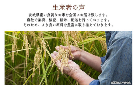 734 茨城県産 こしひかり 米 10kg (5kg×2袋)【石崎商店】