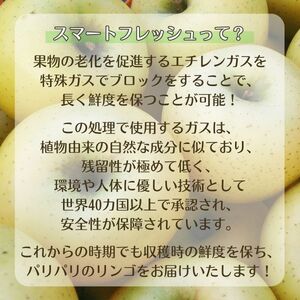 【アグリスタくましろ】シナノゴールドSF　ご家庭用約3kg(6～12玉)