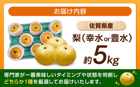 【2026年発送分 先行予約】佐賀県産 梨（品種おまかせ）5kg / 和梨 果物 フルーツ 幸水 豊水 / リフルット株式会社 [41ABAA025]