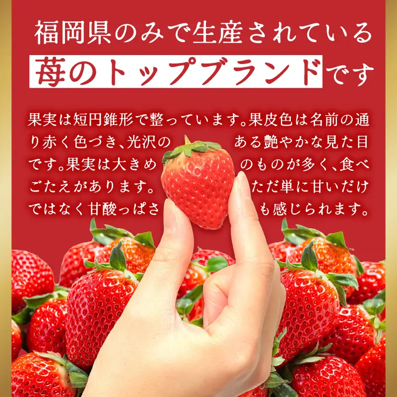 福岡県産あまおう 約250g×4パック【2027年3月発送予定】 いちご イチゴ 苺 あまおう フルーツ 果物 くだもの 250g 4パック 福岡県 八女市 155-005