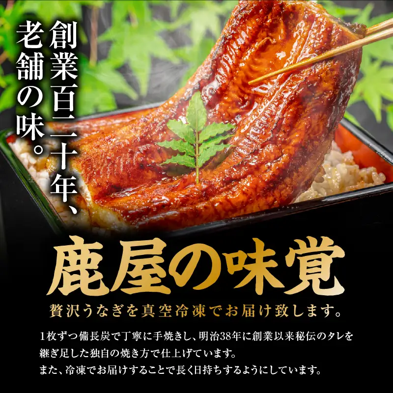 【 土用の丑の日特集 】 鹿児島県産 うなぎ の かば焼き 3尾 KN174-001-03 ウナギ 鰻 蒲焼き 冷凍