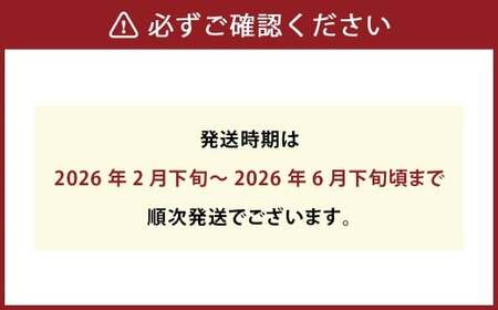 農家の休憩デコ 訳あり（C品 7kg） 果物 くだもの フルーツ 柑橘【2026年2月下旬-6月下旬発送】