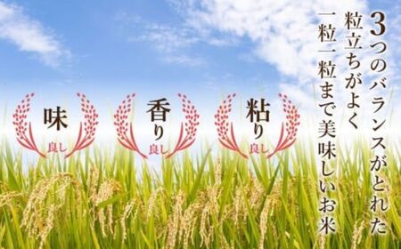 【先行予約】【定期便】 令和8年産 小松市産こしひかり 精米 5kg×3ヶ月（毎月）【JA小松市】