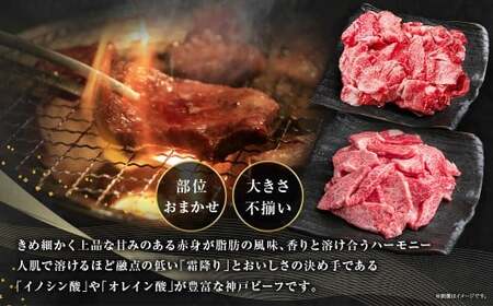 訳あり 神戸牛 切り落とし肉 約400g・焼肉用（不揃い）約400g 計800g AKSY2 牛肉 肉 切り落とし肉 切り落とし 焼肉 神戸ビーフ 冷凍 兵庫県 赤穂市