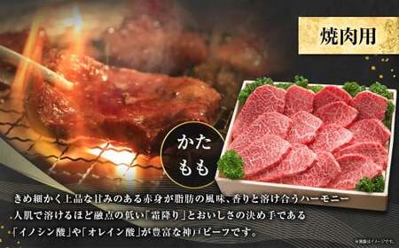 神戸牛 焼肉用 かた・もも 約500g AKY2 牛肉 肉 牛 焼肉 神戸ビーフ 冷凍 兵庫県 赤穂市