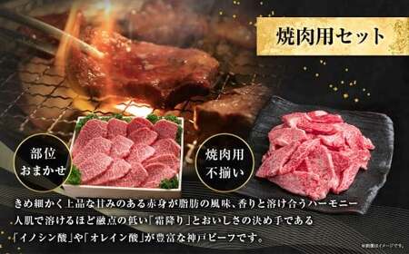 神戸牛 焼肉・焼肉（不揃い）用セット 計約900g AKY3 牛肉 肉 焼肉 焼肉用 神戸ビーフ 冷凍 兵庫県 赤穂市