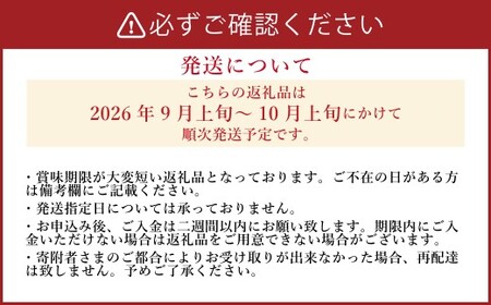 《先行予約》 「山之上果実農業協同組合」 山之上の梨 二十世紀 1箱 約 2.5kg 【2026年9月上旬-10月上旬 発送予定】