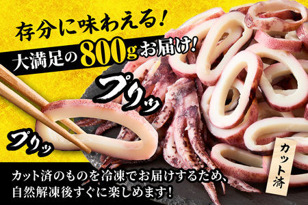 蒸しイカリング カラシ酢味噌付き 約100g×8P 合計約800g いか イカ 10-24