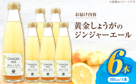 黄金しょうがのジンジャーエール6本/ 土佐生姜 スパークリング ジンジャーエール 爽やか【はるのTERRACE】[ATAV001]