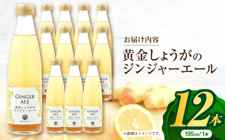 黄金しょうがのジンジャーエール12本/ 土佐生姜 スパークリング ジンジャーエール 爽やか【はるのTERRACE】[ATAV002]