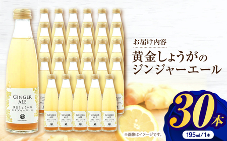 黄金しょうがのジンジャーエール30本 / 土佐生姜 スパークリング ジンジャーエール 爽やか【はるのTERRACE】[ATAV003]