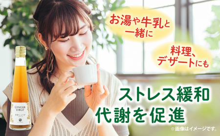 黄金しょうがシロップ6本/ 土佐生姜 ほっこりジンジャー【はるのTERRACE】[ATAV008]