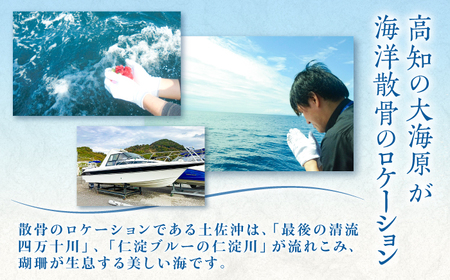 愛猫のための代行海洋散骨供養 (粉骨・散骨証明書・ブックレット付) / ペット供養 愛猫供養 猫 ねこ ネコ 海 埋葬 自然葬 葬儀 お別れ 弔い サービス 代行 委託 メモリアル 遺骨 粉骨 船 プラン 【龍馬カンパニー株式会社】[ATID001]
