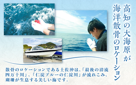【3,000円分】愛猫のための代行海洋散骨供養チケット (粉骨・散骨証明書・ブックレット付) / ペット供養 愛猫供養 猫 ねこ ネコ 海 埋葬 自然葬 葬儀 お別れ 弔い サービス 代行 委託 メモリアル 遺骨 粉骨 船 プラン 【龍馬カンパニー株式会社】[ATID002]