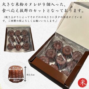 米粉カヌレ9個入り | カヌレ スイーツ お菓子 焼き菓子 おやつ ご褒美 米粉 グルテンフリー 長野県 飯田市