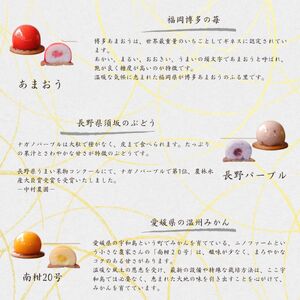 厳選 素材 の あんこ 玉 9種 | スイーツ お菓子 和菓子 餡子 あんこ フルーツ 果物 おやつ ご褒美 長野県 飯田市