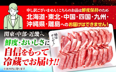 【12回定期便】 ※冷蔵配送/地域限定※ 岐阜県産 豚 瑞浪ボーノポーク 焼肉 1kg 食べ比べセット (ロース・肩ロース・バラ) 瑞浪市 / きなぁた瑞浪[AZCI058]