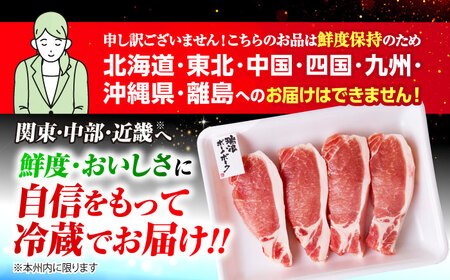 【12回定期便】 ※冷蔵配送/地域限定※ 岐阜県産 豚 瑞浪ボーノポーク ロースステーキ 1kg まんぷくセット 瑞浪市 / きなぁた瑞浪[AZCI064]
