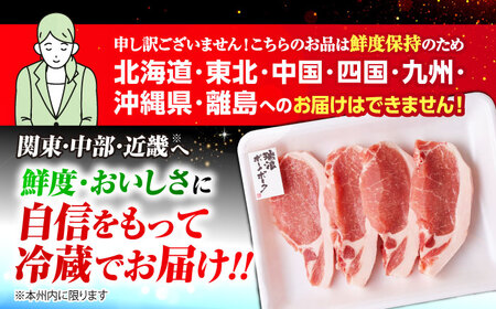 【3回定期便】 ※冷蔵配送/地域限定※ 岐阜県産 豚 瑞浪ボーノポーク ロース 1kg ステーキ 生姜焼き 焼肉 瑞浪市 / きなぁた瑞浪[AZCI065]