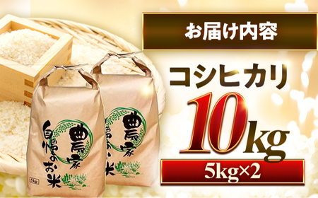 小浜のコシヒカリ 10kg（5kg×2袋）/ 白米 精米 国産米 福井県 小浜市 / 市左ヱ門米屋[BFEN001]
