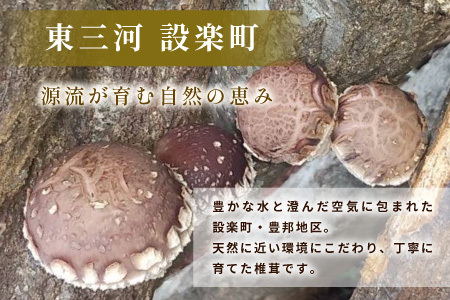 無農薬 原木栽培 肉厚 とよくに清流 ほししいたけ 40ｇ しいたけ 椎茸 シイタケ 原木椎茸 野菜 きのこ 無農薬栽培 干ししいたけ 乾燥しいたけ 干し椎茸 バーベキュー お試し 煮物 -347