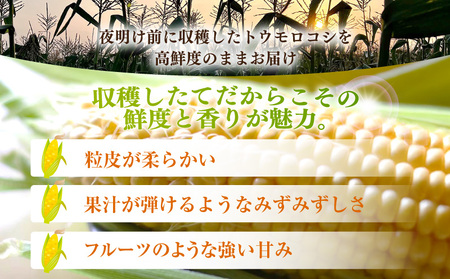 朝採れ！とうもろこし2種セット「プレミアム味来＆ドルチェ」各5本・S101