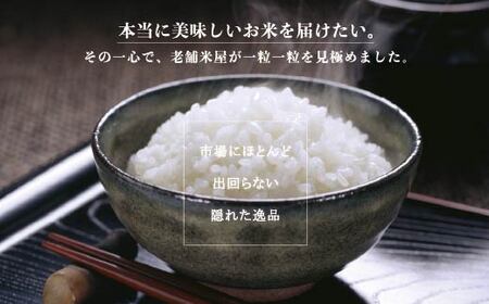 京都産コシヒカリ 白米 10kg 京の里山米 | お米 白米 精米