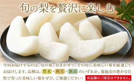 【先行予約】旬の梨 品種おまかせ 約3kg 日本フルーツ株式会社《2026年8月上旬-10月上旬頃出荷》熊本県 菊池市 梨 なし 豊水 秋月 新高 和梨 熊本県産
