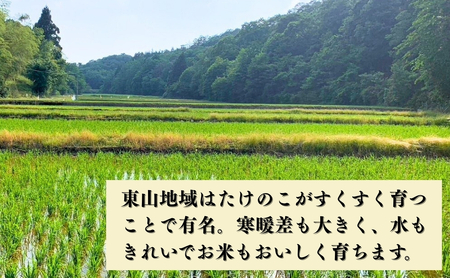 【先行予約】令和8年産 コシヒカリ 精米 30kg  コシヒカリ こしひかり 元田農産
