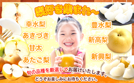 ＜ひるおびで紹介されました＞2026年先行予約 梨 荒尾梨 約4.5～5kg（8～22玉） なし フルーツ 果物 旬 《2026年8月下旬‐11月中旬頃出荷》熊本県 荒尾市 旬の梨 幸水 秋麗 豊水 あきづき 新高 など 合計8種のいずれか（品種指定不可）