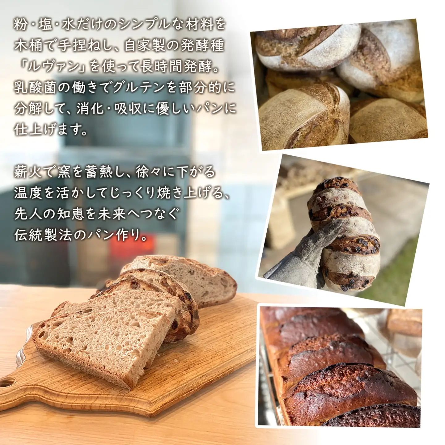 【薪窯焼き】香り高い大きなパン 3種セット (カンパーニュ・レザン・ブリオッシュ) ハード系パン レーズン パン セット K2686