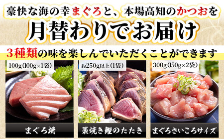 【9回定期便】〈月替わり〉かつお・まぐろ お楽しみセット マグロ Wnz-0122